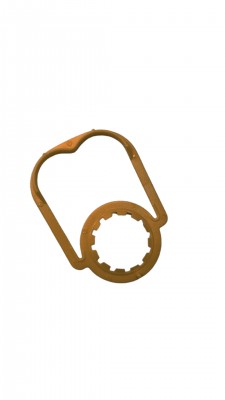 Dourado